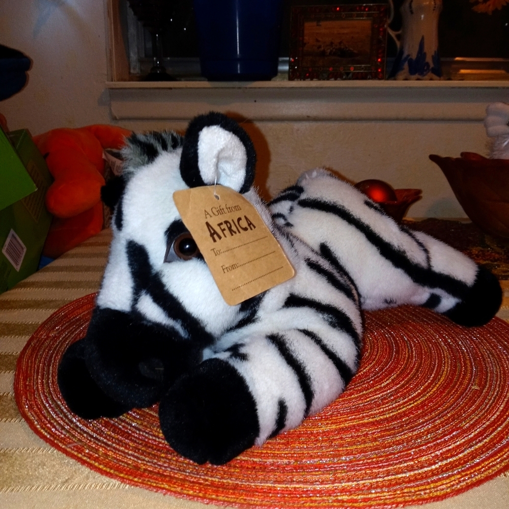 Little Zebra all the way.from South 🌍